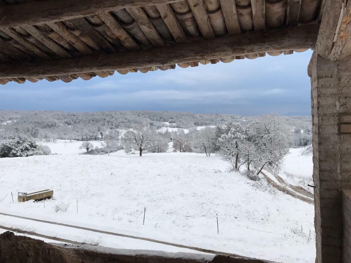 Mas Roca Del Mill Villa Perafita Екстериор снимка